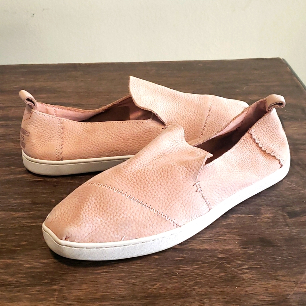 TOMS